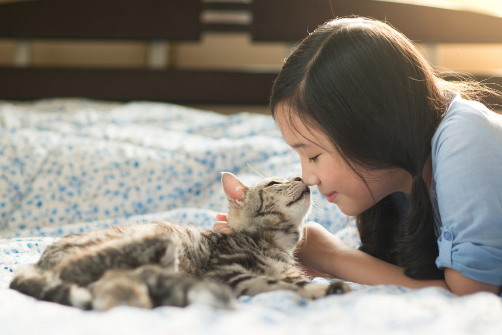 Are American Shorthair Cats Good With Children?